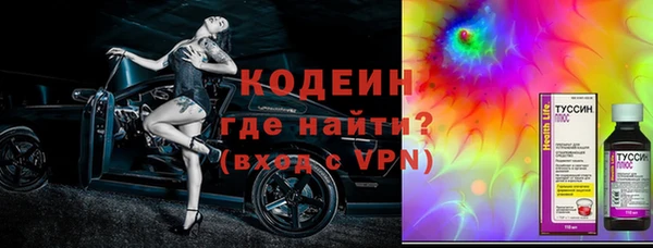 шишки Новодвинск