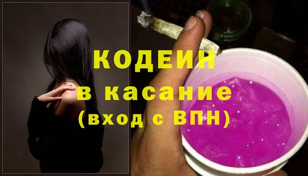 шишки Новодвинск
