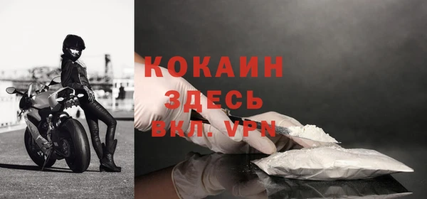 шишки Новодвинск