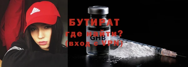 шишки Новодвинск