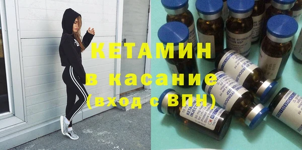 шишки Новодвинск