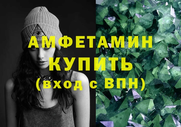 шишки Новодвинск