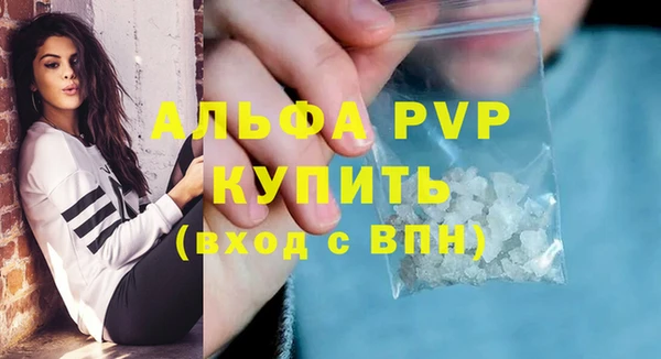 шишки Новодвинск